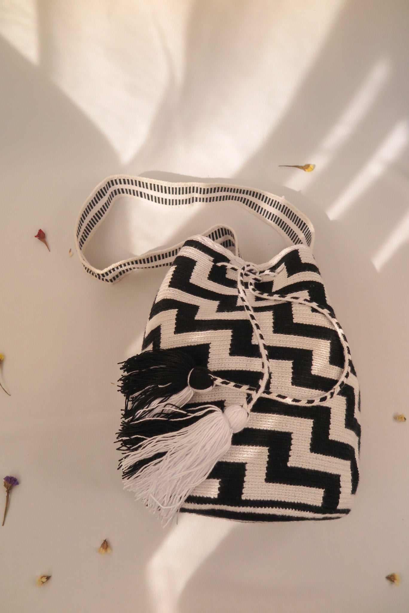 Bolso Taroa